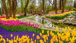 Emirgan Woods and Pavilions